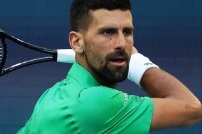 德约科维奇新星逆转表现惊艳，法国队未来可期！